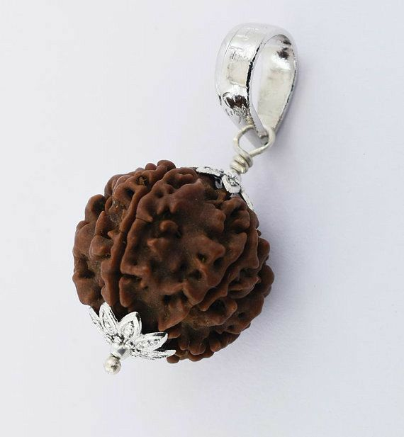 Rudraksha